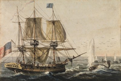 Reabastecendo a despensa do navio com bacalhau na costa da Terra Nova, 1811-ca. 1813. de Pavel Petrovic Svin
