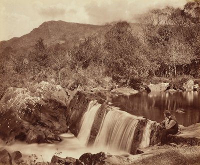Cascata, Condado de Wicklow, c. 1870 (foto) de Payne Jennings