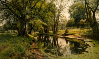Água parada na floresta de Peder Monsted
