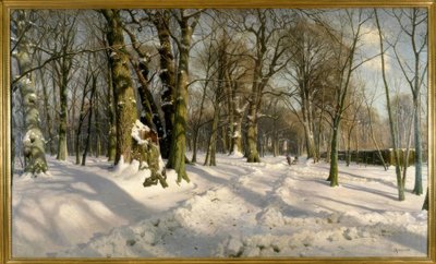 Floresta de inverno nevado à luz do sol de Peder Monsted