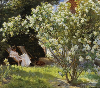 Rosas. Marie Krøyer sentada na espreguiçadeira no jardim ao lado da casa da Sra. Bendsen de Peder Severin Krøyer