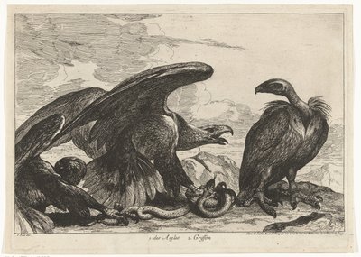 Abutre e uma águia com cobra
des Aigles 2. Griffon (título sobre o objecto)
Aves do menagerie de Versailles (título da série) de Peeter Boel (attributed to)