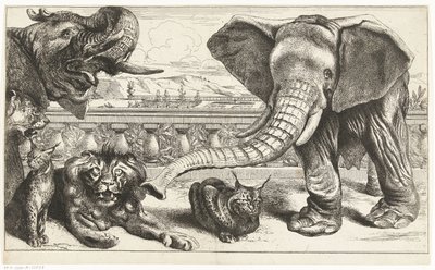 Elefantes, leões e linces nos jardins de Versalhes de Peeter Boel (attributed to)