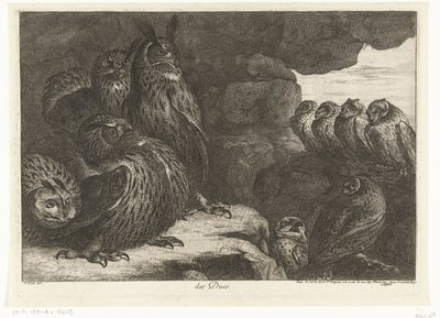 Corujas numa caverna
des Ducs (título sobre o objecto)
Aves do menagerie de Versailles (título da série) de Peeter Boel (attributed to)