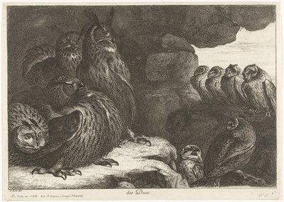 Corujas numa caverna
des Ducs (título sobre o objecto)
Aves do menagerie de Versailles (título da série) de Peeter Boel (attributed to)