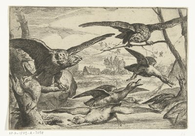 Roofvogels
Várias aves (título da série) de Peeter Boel