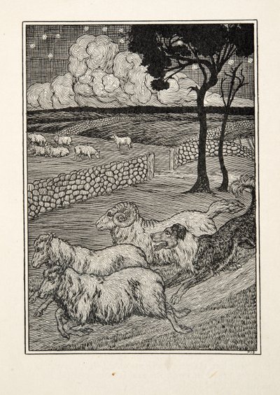 Um ladrão canino dos carneiros, de cem anecdotes dos animais, bar. 1924 de Percy J. Billingshurst