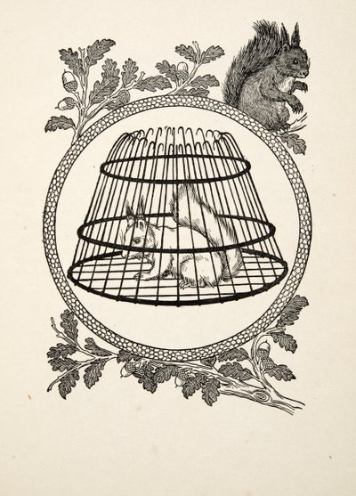 Um esquilo do refugiado, de cem anecdotes dos animais, bar. 1924 de Percy J. Billingshurst