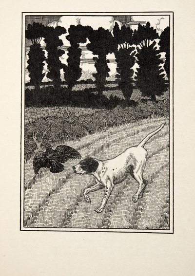 Enganando o Fowler, de cem anecdotes dos animais, bar. 1924 de Percy J. Billingshurst