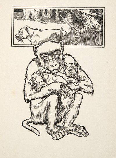 Solicitar Succour, de A Hundred Anecdotes of Animals, pub. 1924 (gravura) de Percy J. Billingshurst