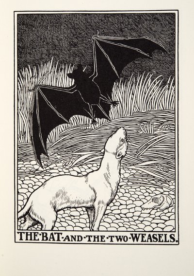 O morcego e as duas doninhas, de Fontaine Fables, pub. 1905 de Percy J. Billingshurst