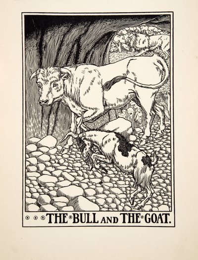 The Bull and the Goat, from A Hundred Fables of Aesop, pub.1903 (gravura) de Percy J. Billingshurst