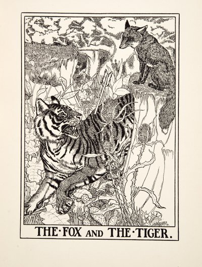 The Fox and the Tiger, de A Hundred Fables of Aesop, pub.1903 (gravura) de Percy J. Billingshurst