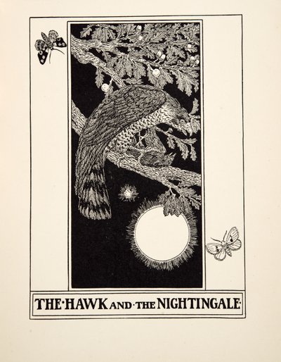 O Falcão e o Rouxinol, de Cem Fábulas de Esopo, pub.1903 de Percy J. Billingshurst
