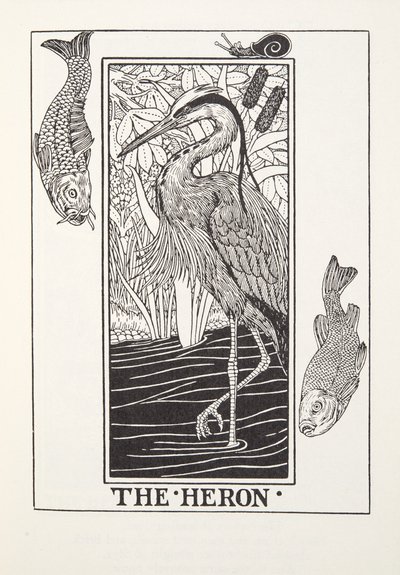 The Heron, de Fontaine Fables, pub. 1905 (gravura) de Percy J. Billingshurst