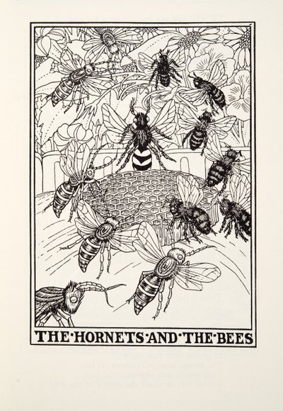 The Hornets and the Bees, de Fontaine Fables, pub. 1905 (gravura) de Percy J. Billingshurst