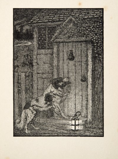 O cão de Terra Nova, de cem anecdotes dos animais, bar. 1924 de Percy J. Billingshurst