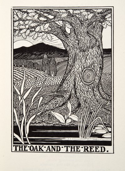 O Carvalho e o Reed, de Fontaine Fables, pub. 1905 de Percy J. Billingshurst