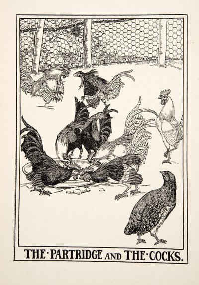 A perdiz e os galos, de cem fábulas de Esopo, pub.1903 de Percy J. Billingshurst