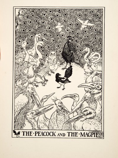 The Peacock and the Magpie, de A Hundred Fables of Aesop, pub.1903 (gravura) de Percy J. Billingshurst