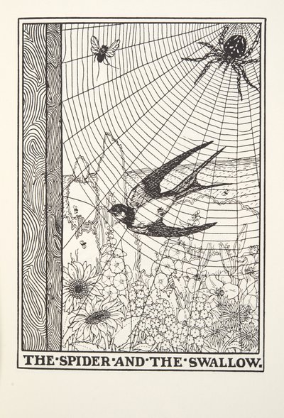 The Spider and the Swallow, de Fontaine Fables, pub. 1905 de Percy J. Billingshurst