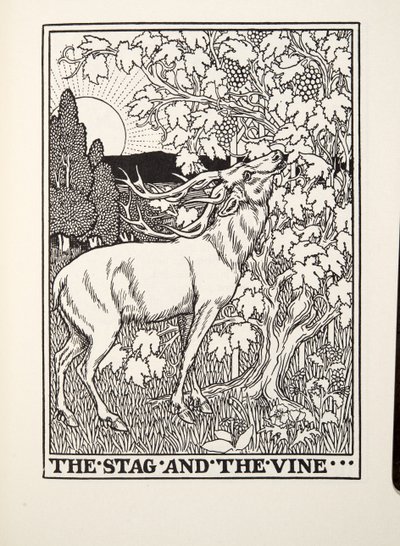 The Stag and the Vine, de Fontaine Fables, pub. 1905 de Percy J. Billingshurst