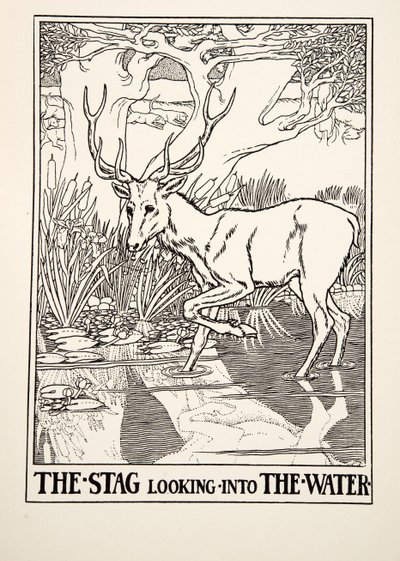 The Stag looking into the Water, from A Hundred Fables of Aesop, pub.1903 (gravura) de Percy J. Billingshurst