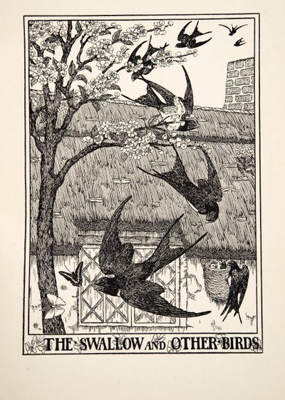 A andorinha e outras aves, de cem fábulas de Esopo, pub.1903 de Percy J. Billingshurst