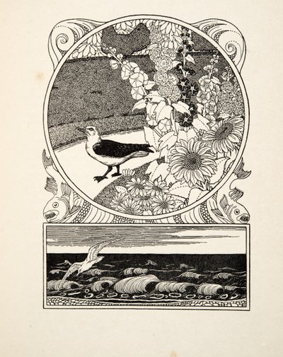 The Tame Seagull, de A Hundred Anecdotes of Animals, pub. 1924 (gravura) de Percy J. Billingshurst