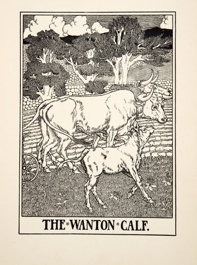 O bezerro devassa, de cem fábulas de Esopo, pub.1903 de Percy J. Billingshurst