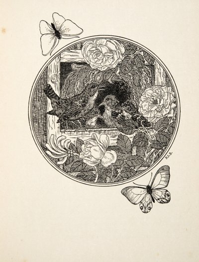 Wrens Aprendendo a Cantar, de Cem Anedotas de Animais, pub. 1924 de Percy J. Billingshurst