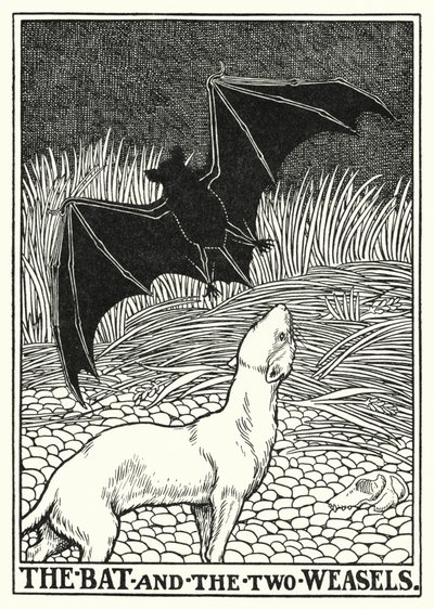 Fábulas de La Fontaine: O morcego e as duas doninhas (litho) de Percy James Billinghurst