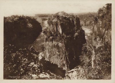 The Gorge from the Hotel, Victoria Falls (foto p/b) de Percy M. Clark