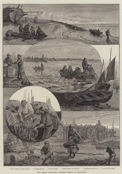 Nossas Indústrias de Pesca, Mackerel Fishing at Eastbourne (gravura) de Percy Robert Craft