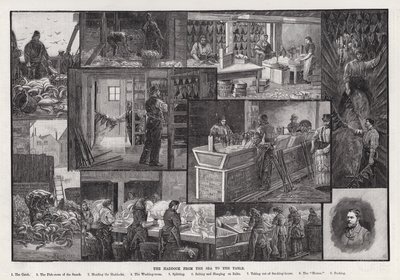 O Arinca do Mar para a Mesa (gravação) de Percy Robert Craft