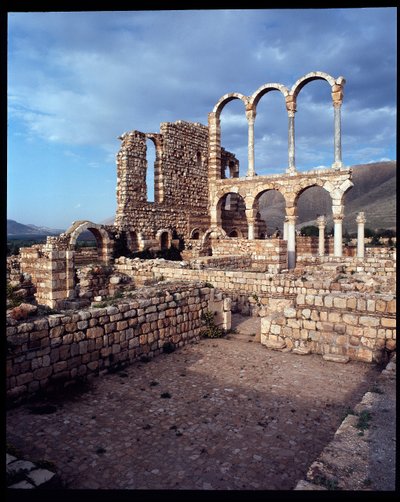Vista da cidade, 705-710 d.C. de Period Umayyad