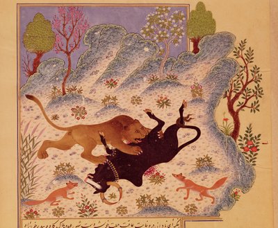 Um Leão ataca e mata um Touro, de um manuscrito de Kabila wa Dimna (guache em papel) de Persian School