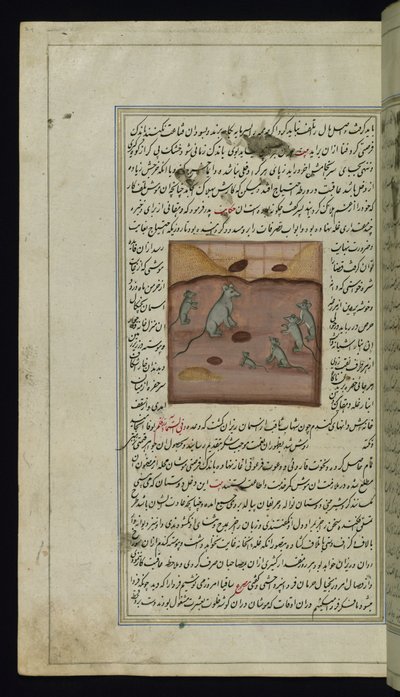 Suprimento de milho de um fazendeiro sendo atacado por ratos de Luzes de Canopus de Persian School