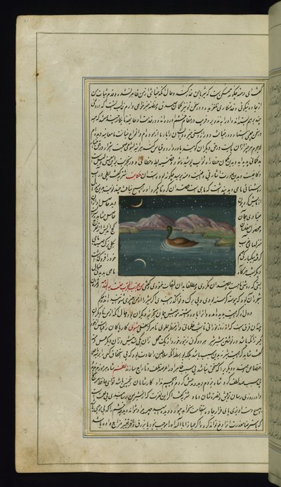 Um ganso e um reflexo da lua na água das Luzes de Canopus de Persian School