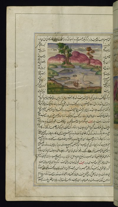 Uma garça, um caranguejo e um peixe de Luzes de Canopus de Persian School