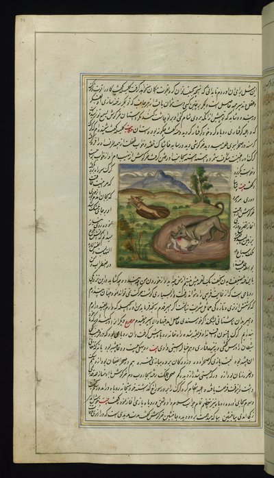 Um chacal devora uma lebre de Lights of Canopus, 1847 de Persian School