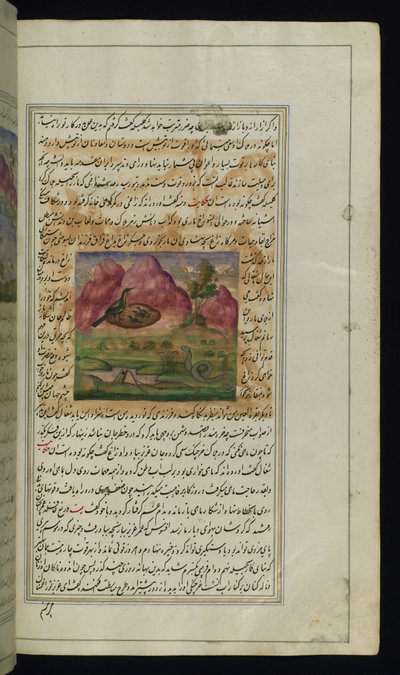 Uma cobra e filhotes de corvo das Luzes de Canopus de Persian School