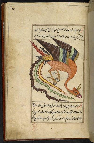 Adicionar MS 15241 f.64r O simurgh, um pássaro-trovão iraniano, da coleção de raridades 