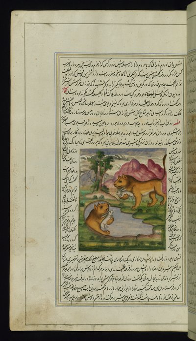 Um leão malvado, enganado por uma lebre, olha para um poço e vê seu reflexo nas Luzes de Canopus de Persian School