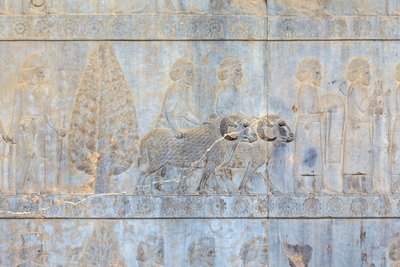 Relevos baixos nas paredes do palácio e escadaria de Apadana, Persepolis, Irão (grés) de Persian School