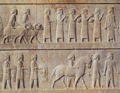 Detalhe do friso em relevo na escadaria leste da Apadana (sala de audiências) retratando os delegados das terras do império com presentes generosos para uma cerimônia, período Aquemeniano, c.515 a.C. (calcário) de Persian School