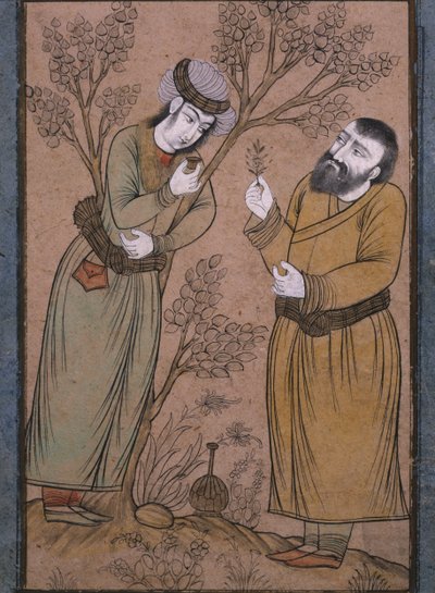 Doutor, dar, um, herbário, remédio, para, um, homem jovem, tarde, 17o século, cedo, 18º século de Persian School