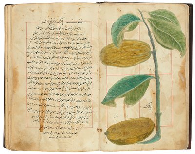 Hassan Bin Baqir Bin Jarrah: Gulzar Al-Rayahin, Qajar Irã de Persian School
