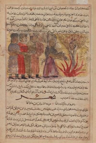 Pintura em miniatura de Kalila wa Dimna (tinta & wc opaco no papel) de Persian School
