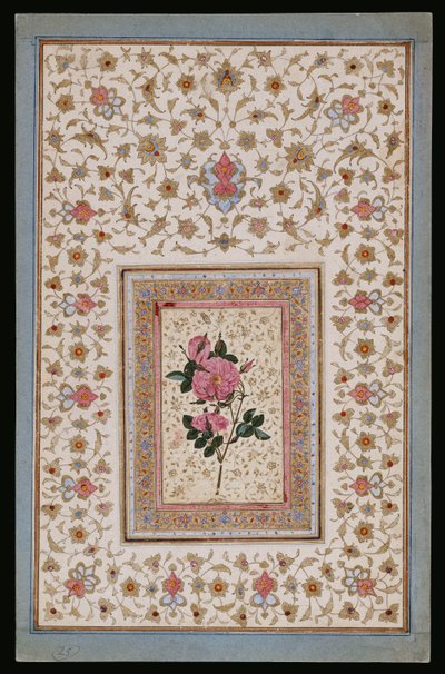 Estudo de uma rosa de Persian School